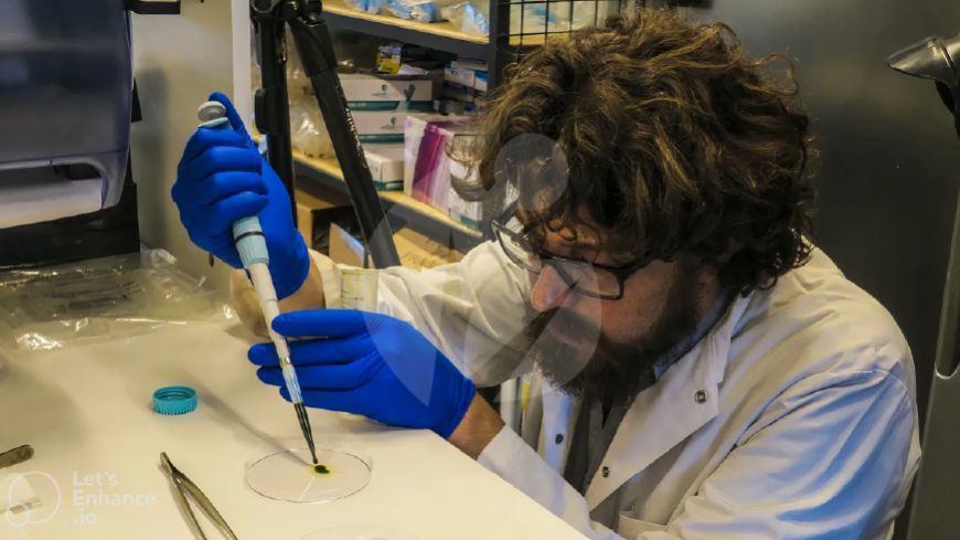 "Proyecto Hulk" Científicos chilenos crean una piel que genera oxígeno y que regenera tejidos